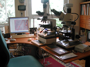 Durchlichtmikroskopie (EPI, NIC, Ph) für die Pilzebestimmung