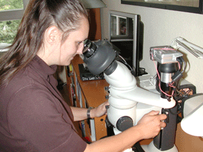 Laborraum